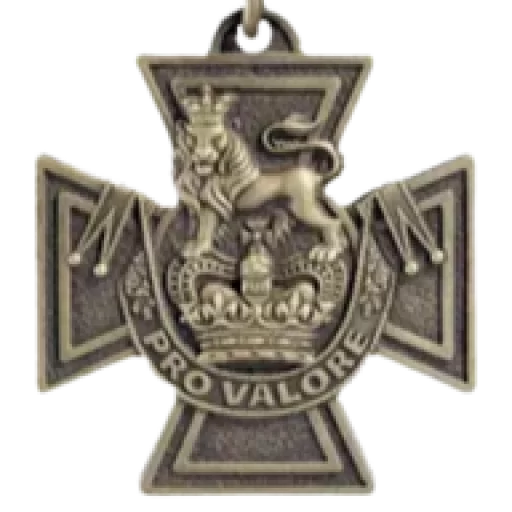 Medal Logo